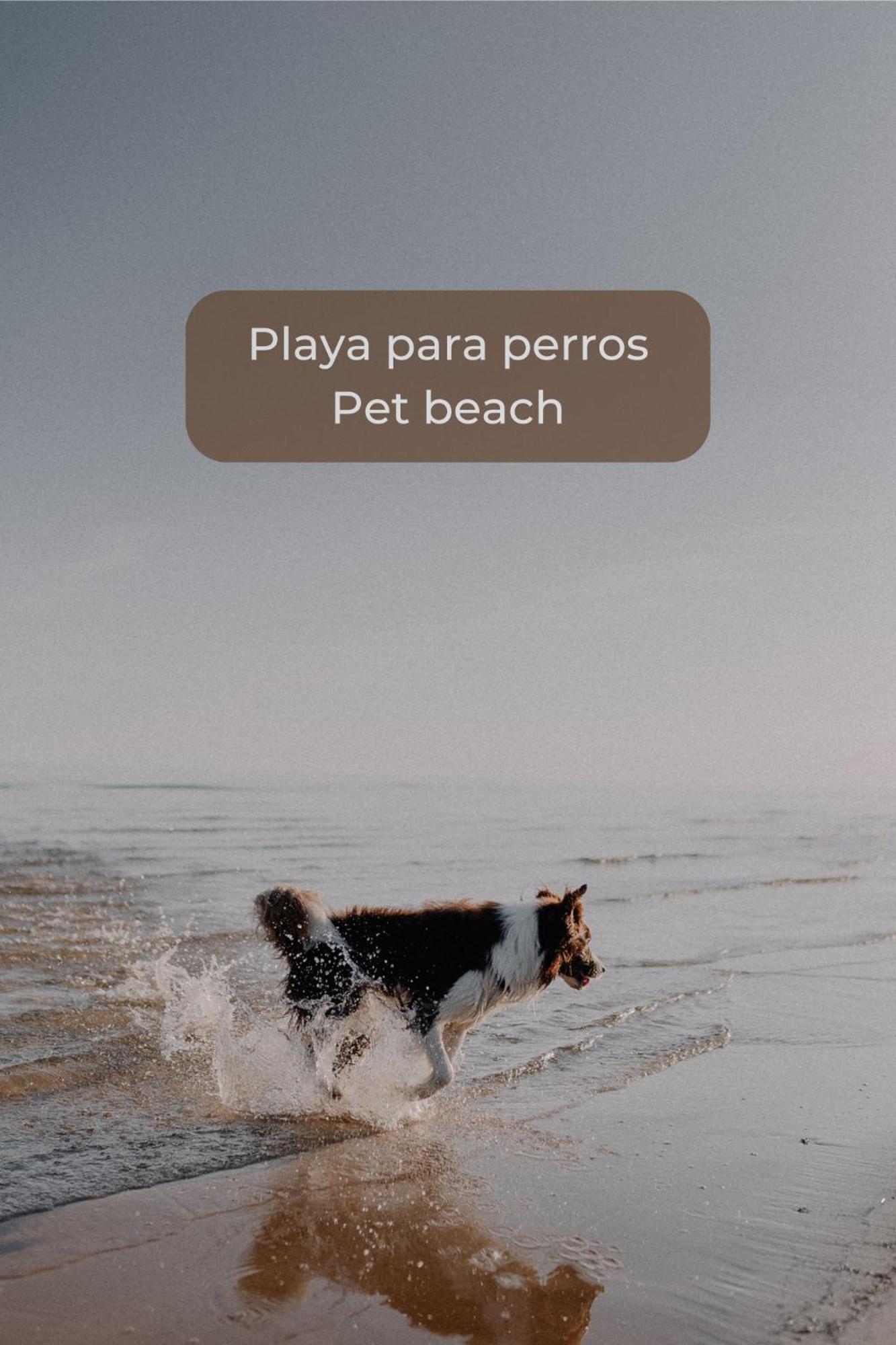 Basa Paradise - Piscina, Terraza, Wifi Y Parking Corralejo Kültér fotó